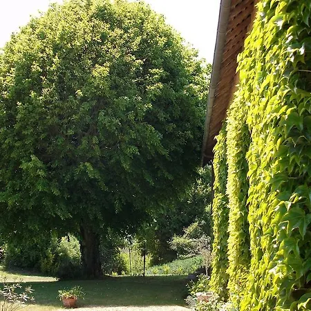 La Cochetiere Cheviré-le-Rouge