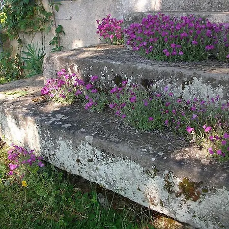 La Cochetiere Cheviré-le-Rouge