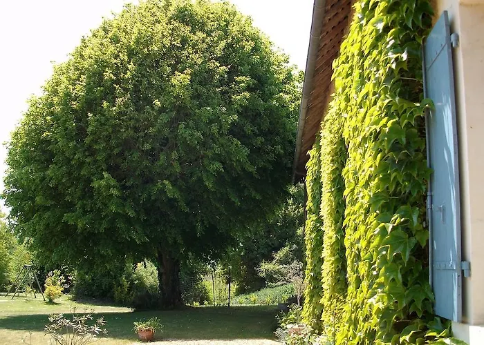 La Cochetière Cheviré-le-Rouge