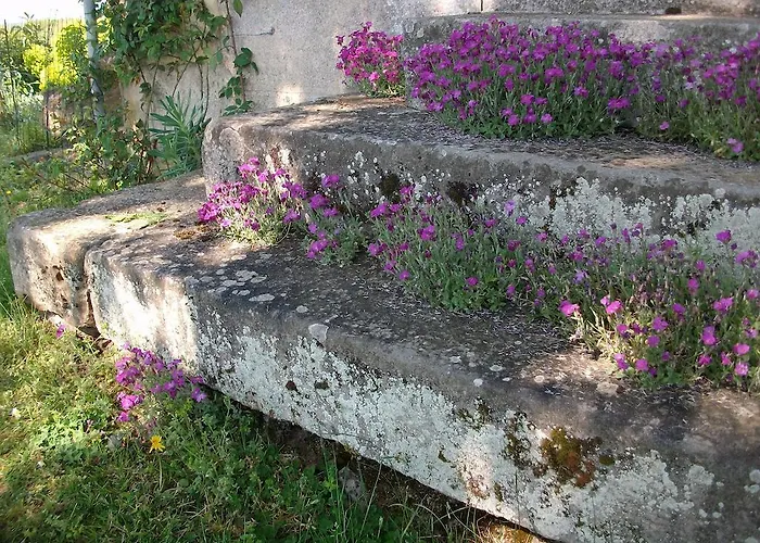 La Cochetière Cheviré-le-Rouge